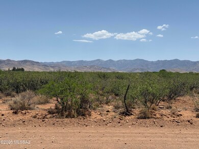 IMG_9052