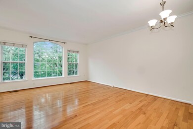 6286 Shackelford Terrace, Alexandria, VA 22312 - photo 7