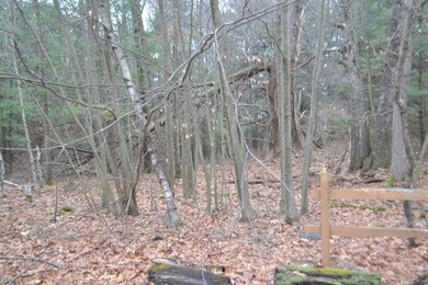 Lot 209 Winter Park Ln, Blooming Grove Township, PA 18464 - photo 2