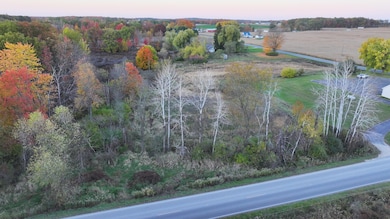 V/L 136th St, Sand Lake, MI 49343 - photo 3