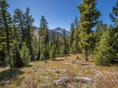 TBD Ciel Dr, Big Sky, MT 59716 - photo 4