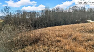 53 Springwinds Dr, Beech Mountain, NC 28604 - photo 7