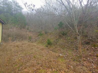 489 Oak Glen Cir, Fall Branch, TN 37656 - photo 4