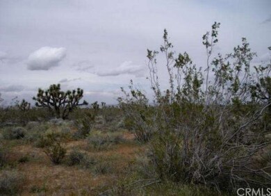 Standing at south of property, looking northeast a