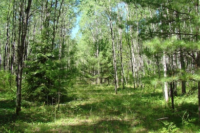 0 Burrows Lake Rd, Little Rice, WI 54487 - photo 7