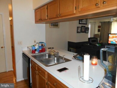 14201 Wolf Creek Place unit 1124, Silver Spring, MD 20906 - photo 6