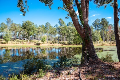 6355 Cobbham Rd, Appling, GA 30802 - photo 3