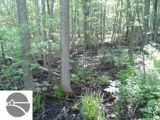 N/A Tonkey Rd, Turner, MI 48765 - photo 4