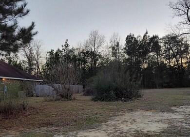 NHN Lot 39 Magenta Ln, Picayune, MS 39466 - photo 4