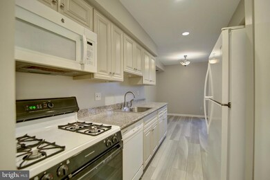 11200 Chestnut Grove Square unit 302, Reston, VA 20190 - photo 3