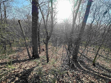 268-00601-000 Altakima Cir, Cherokee Village, AR 72529 - photo 3