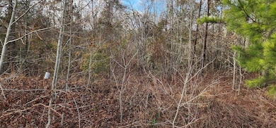 2664 New Hope front 2