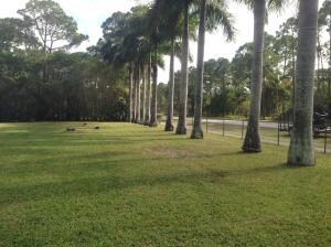 front yard