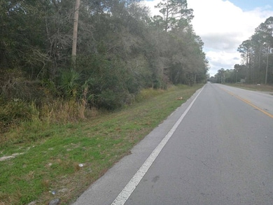 00 E Hwy 316, Fort McCoy, FL 32134 - photo 6