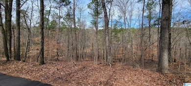 45 Coosa View Ln, Riverside, AL 35135 - photo 7