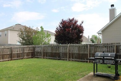 Big fenced in yardard