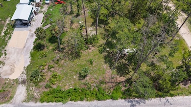 430 4th Ste, Steinhatchee, FL 32359 - photo 4