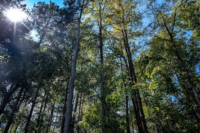 8530 Lake Bright Dr, Columbus, GA 31904 - photo 3