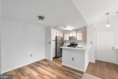 4406 Silverbrook Ln unit J302, Owings Mills, MD 21117 - photo 6