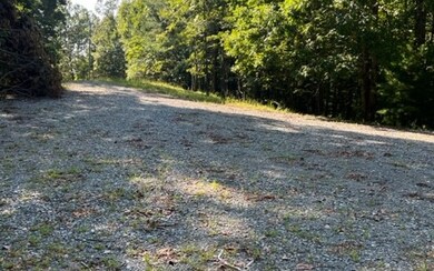 Additional View