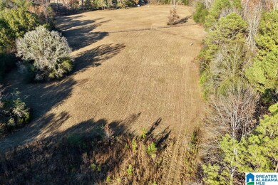 330 County Road 1055, Montevallo, AL 35115 - photo 7