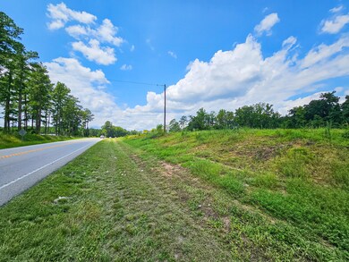 0 Bells Highway & Jones Swamp Hwy unit 24020564, Walterboro, SC 29488 - photo 2