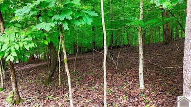 0 Overlook Dr unit Lots 42 & 39 Woodlan, Cadiz, KY 42211 - photo 4