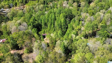 0 Lake Geneva Dr unit 25 21415570, Wedowee, AL 36278 - photo 6