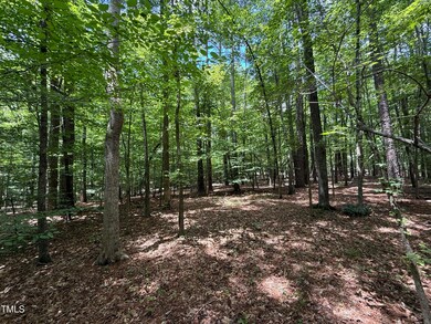 7 Edwards Ridge Rd, Chapel Hill, NC 27517 - photo 6