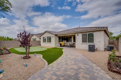 8 Backyard
