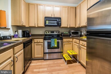 42420 Hollyhock Terrace unit 102, Ashburn, VA 20148 - photo 4