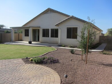 Grassy Backyard