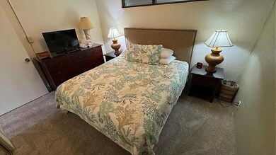 3543 Lower Honoapiilani Rd unit E-307, Lahaina, HI 96761 - photo 6