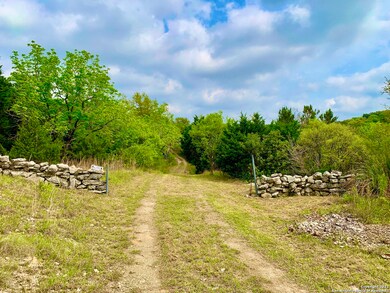 28 ACRES On Park Mountain Dr, San Antonio, TX 78255 - photo 5