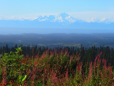 Inlet View & Mt. Iliamna