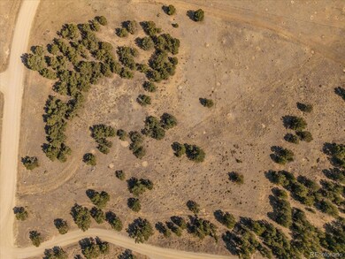 10246 Rawhide Creek Rd, Nathrop, CO 81236 - photo 6