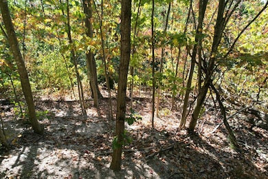 0 Evan Sisters Rd, Flemingsburg, KY 41041 - photo 3