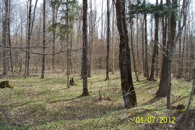 View of property
