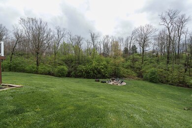 Redbud-4