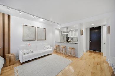 535 N Michigan Ave unit 1210, Chicago, IL 60611 - photo 7