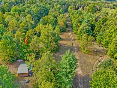 1464 N Raymond Rd, Luther, MI 49656 - photo 6