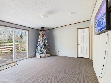 17579 Middle Island Rd, West Union, WV 26456 - photo 2