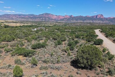 IMG_0701