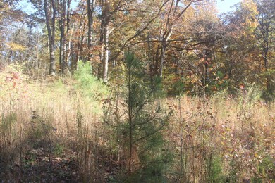 1101 Salem Rd, Rossville, GA 30741 - photo 5