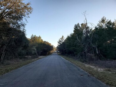 0 Fisher Trace Place unit OM568430, Ocklawaha, FL 32179 - photo 2