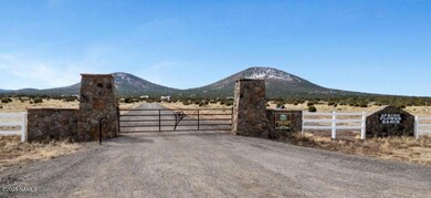 7432 Daisy Dr, Red Lake, AZ 86046 - photo 2