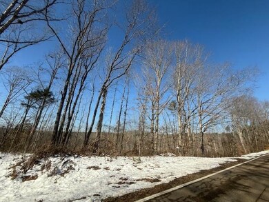 View of snowy view