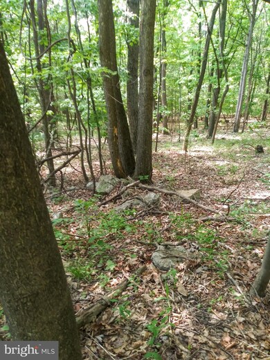 60 High Mountain View Rd, Three Chrs, WV 26757 - photo 7