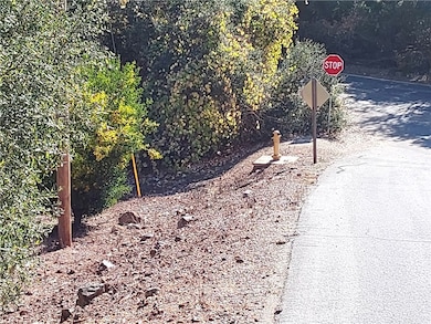 3 Via Vaquero, Temecula, CA 92590 - photo 5