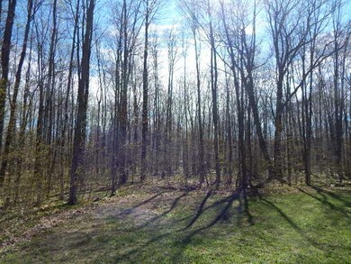 DSCN5418